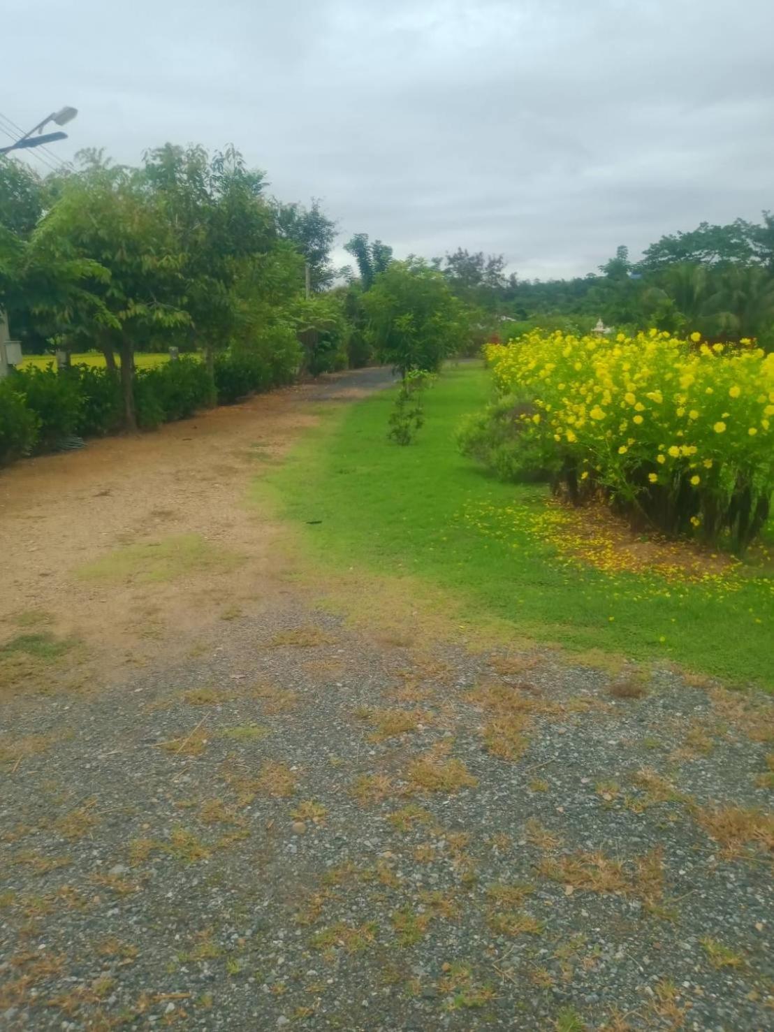 Ban Chang Klang Na Nong ap Chang ภายนอก รูปภาพ