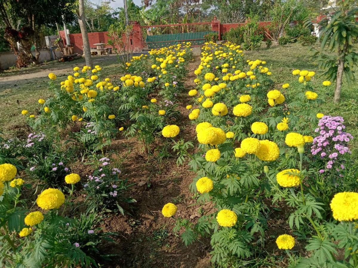 Ban Chang Klang Na Nong ap Chang ภายนอก รูปภาพ