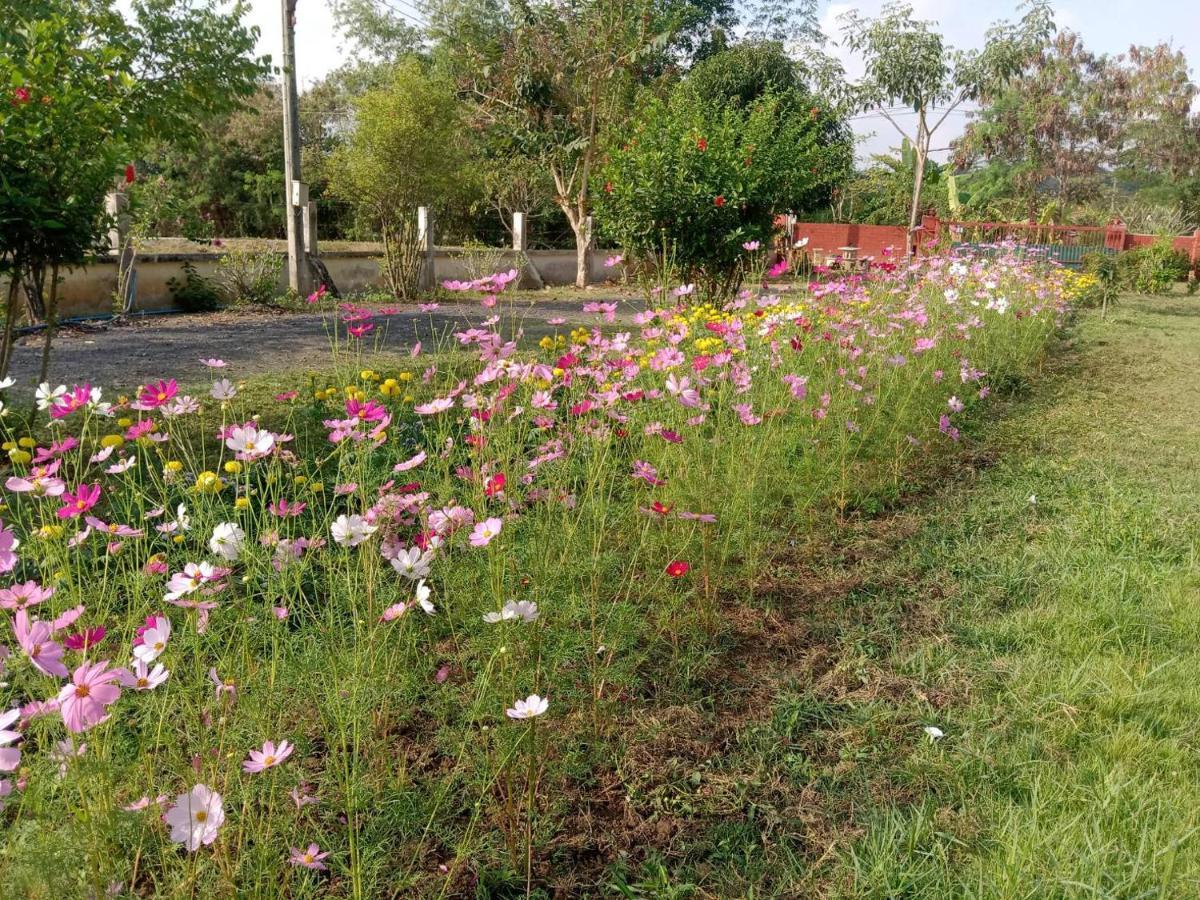 Ban Chang Klang Na Nong ap Chang ภายนอก รูปภาพ