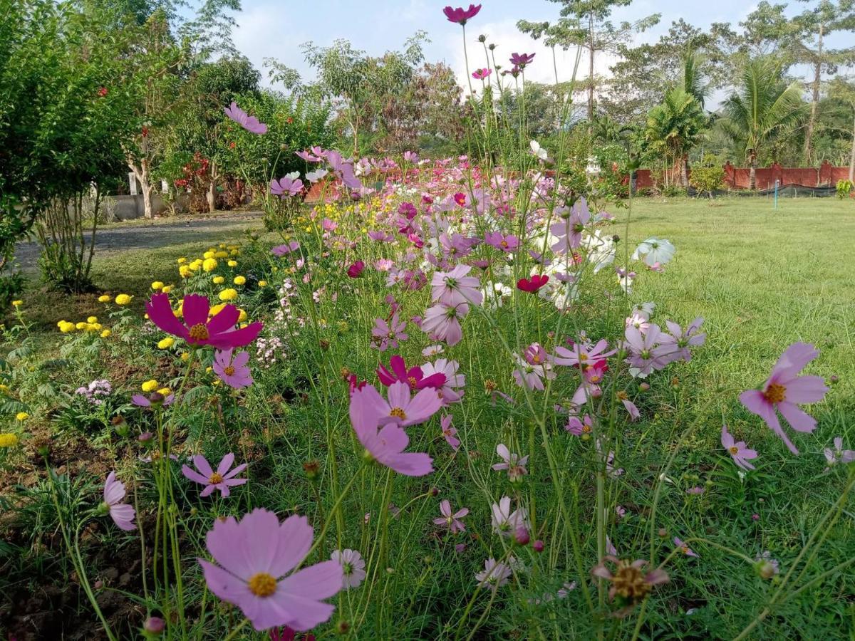 Ban Chang Klang Na Nong ap Chang ภายนอก รูปภาพ